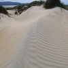 InspirationStrand